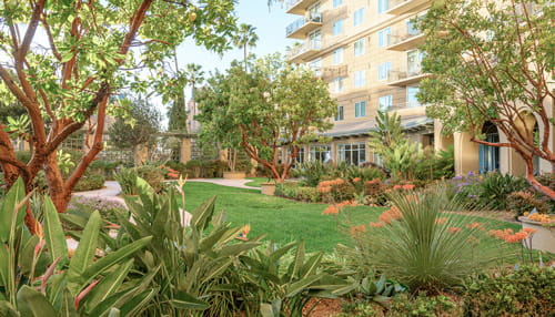 The greenery outside Vi at La Jolla Village in San Diego